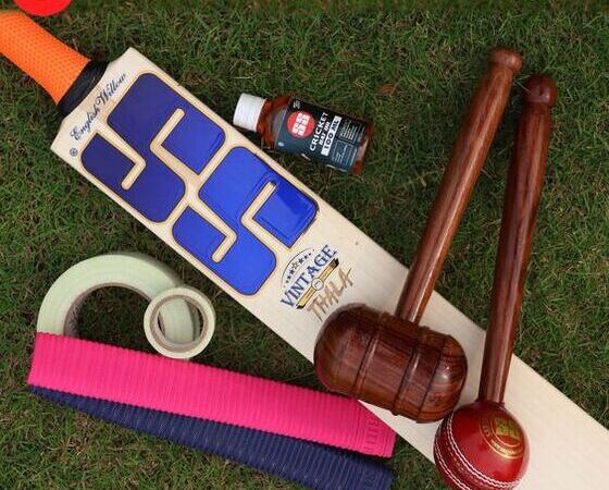 How to Check the Authenticity of an Original English Willow Cricket Bat in 2024