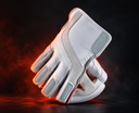 Wicket Keeping Gloves