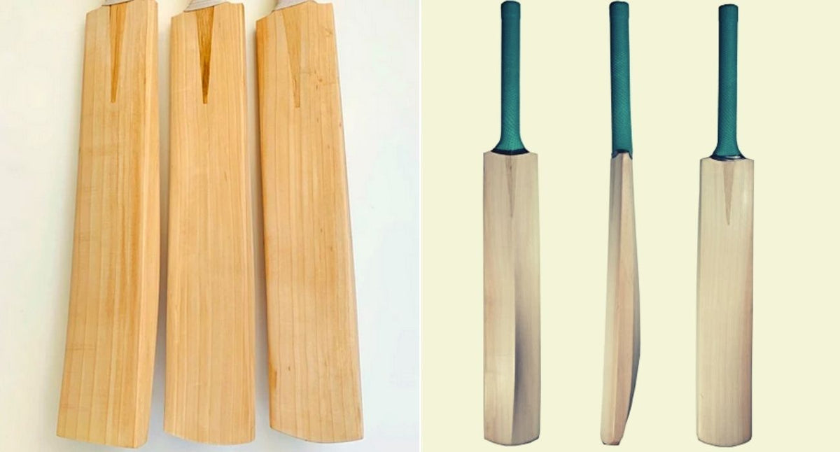 Kashmir Willow vs. English Willow: Which is Right for You?