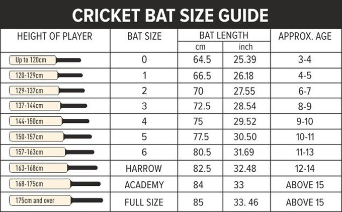 How to Choose the Right Cricket Bat for Your Game – A Complete Guide