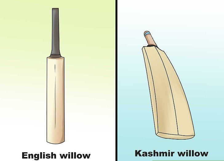 The differences between Kashmir willows and English willows