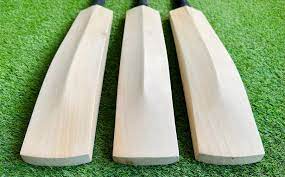 A Guide to Grade 2 English Willow Cricket Bats