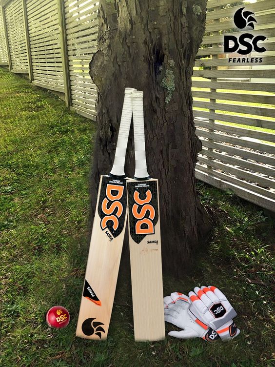 Best Cricket Bats Under $100 in 2024 Options for Every Player
