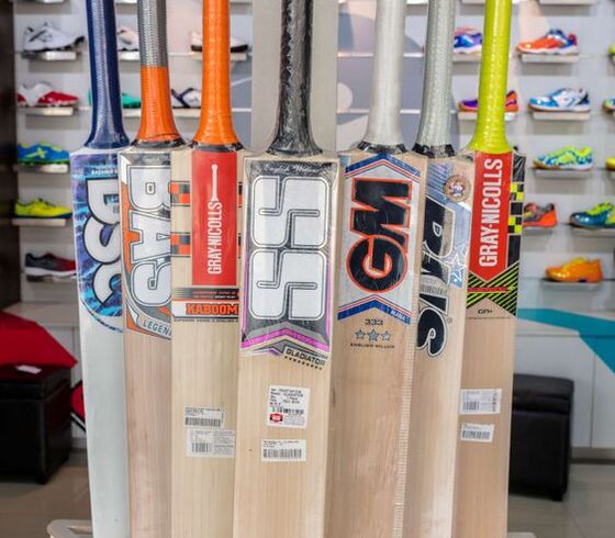Cricket Bats | Expert Reviews and Buying Tips