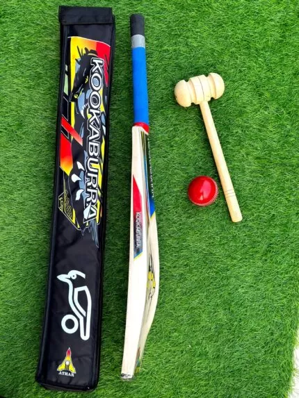 From Willow to Wickets: Kashmir Willow Cricket Bat