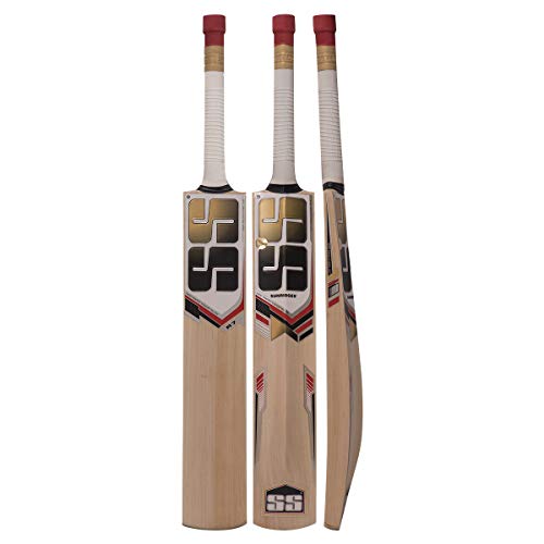 Top 10 Cricket Bat Brands for Sale