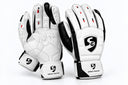 Wicket Keeping Gloves