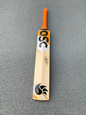 DSC Krunch Pro David Warner edition of English willow grade 1 bat