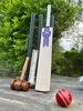 Newbery Hammer English willow bat