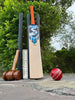 SG RP-17 Rishab Pant edition English willow Grade 1 bat