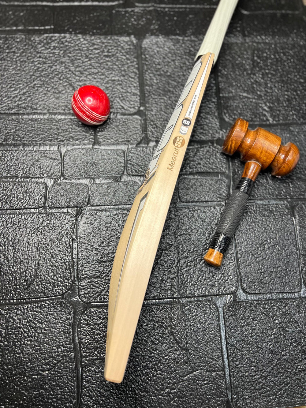 SS Pro 1.0 Premium Grade English Willow Cricket bat