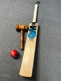 GM Diamond B55S Ben strokes edition English willow bat