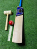 New Balance Burn+ Players Edition English Willow Bat