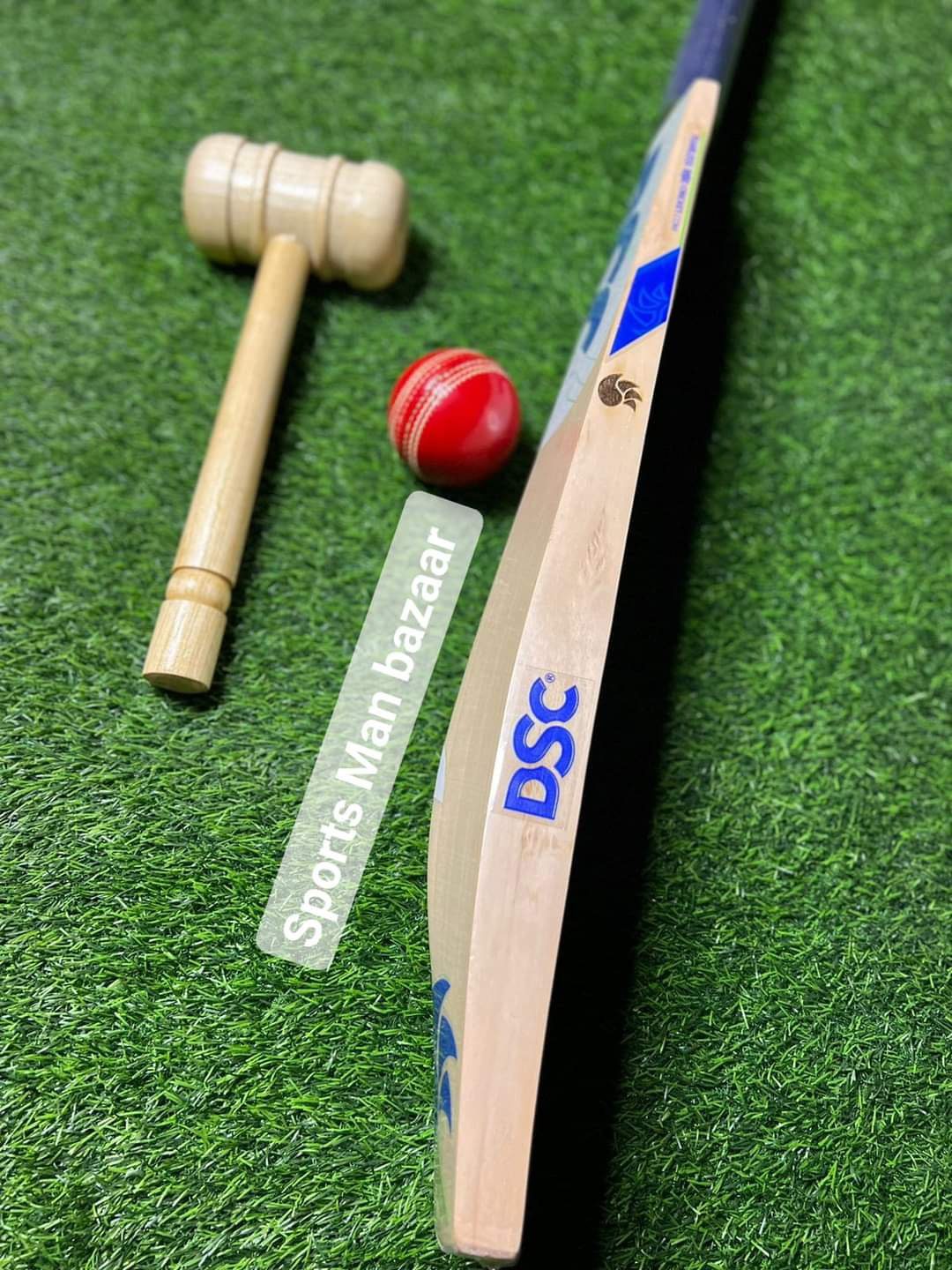 DSC English Willow Cricket Bat