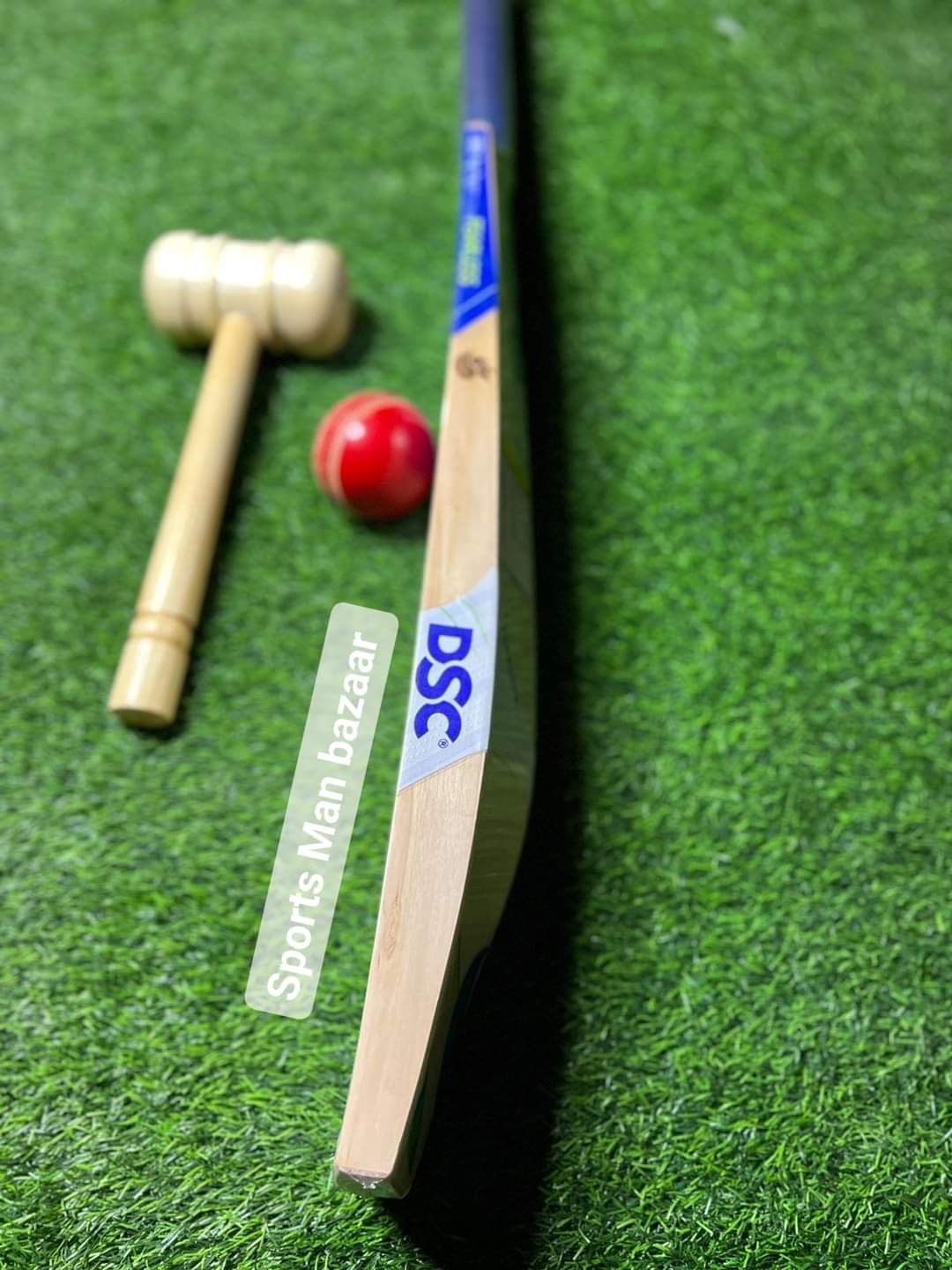 DSC English Willow Cricket Bat