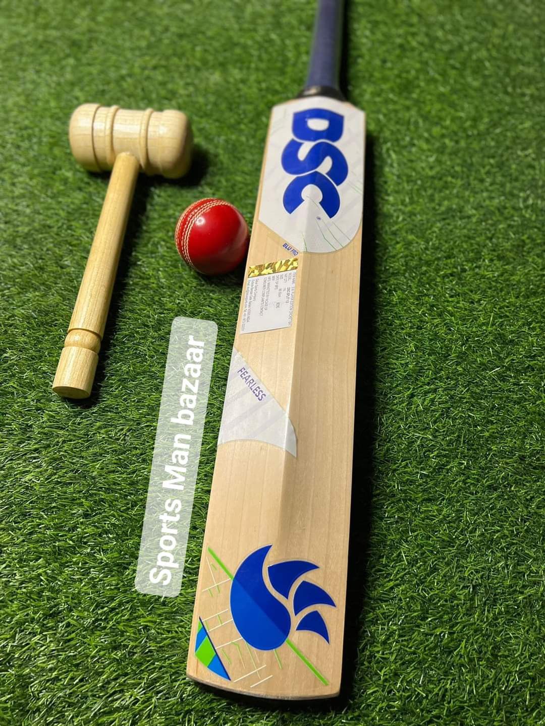 DSC English Willow Cricket Bat