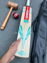 Gray Nicolls GEM 1.1 Players Edition English Willow Grade 1 Cricket Bat