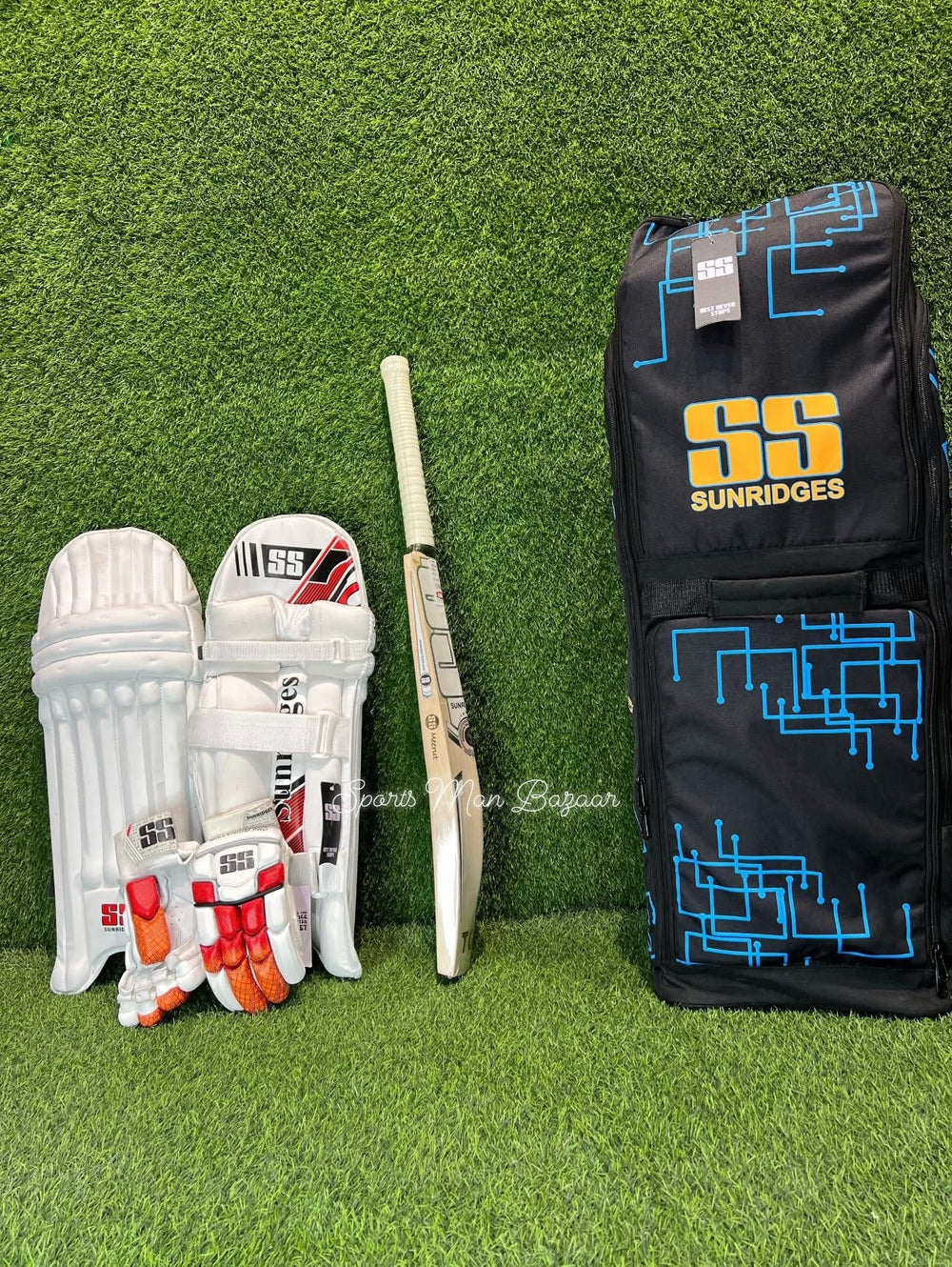 SS Professional Hard Ball cricket set