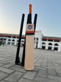 Introducing Newbery Master 100 edition English willow grade 1 bat
