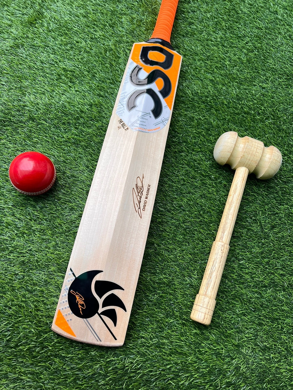 DSC The Bull 31 David Warner edition English willow grade 1 bat