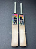 SF Eleven Shikhar Dhawan Edition English Willow Grade 1 Cricket bat for sale