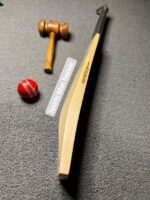 Gray Nicolls legend 2022 edition english willow best cricket bat